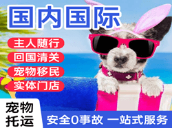 百色航空空运国际宠物托运 【国
